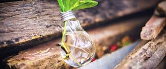 Looking to Go Green?