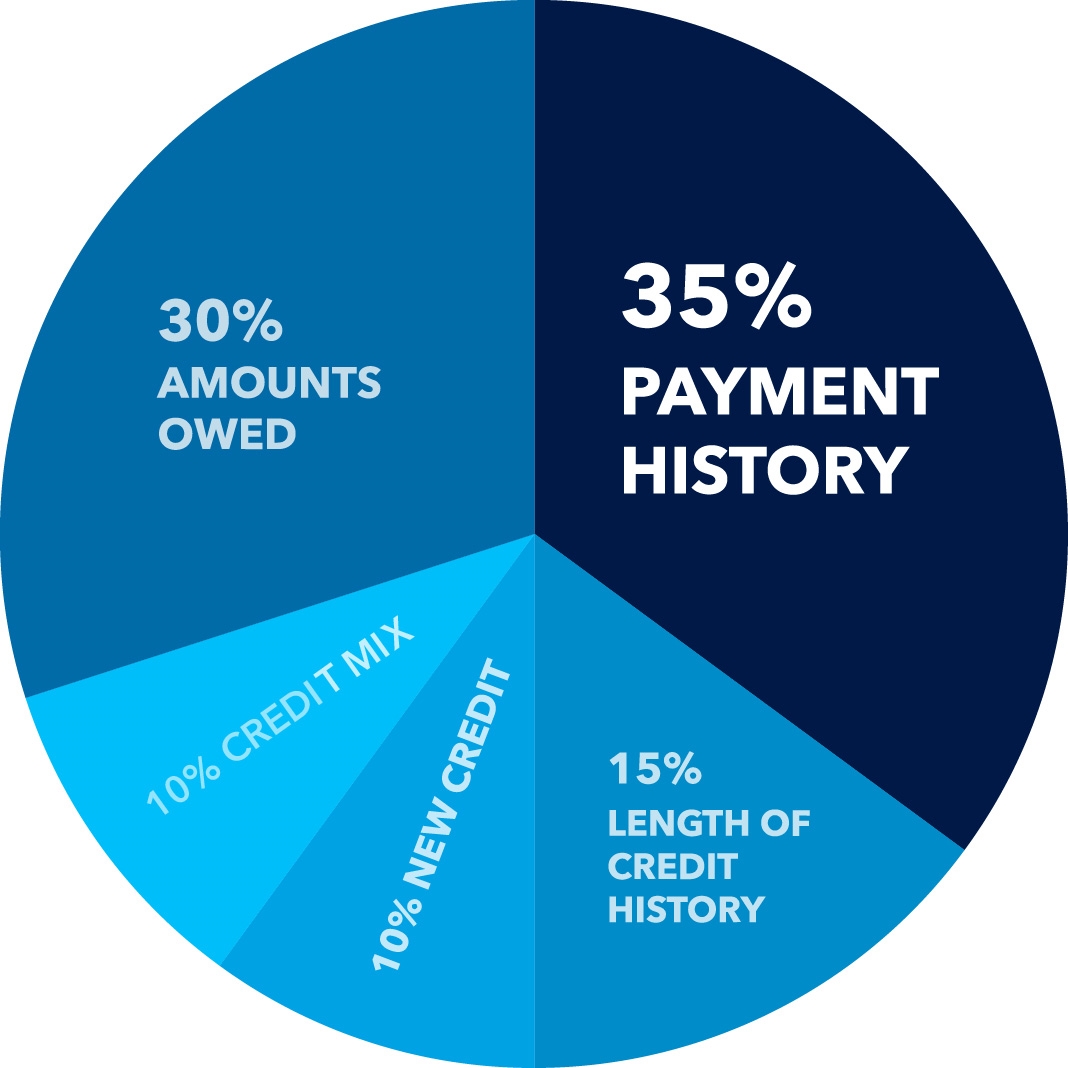 what-is-the-credit-limit-on-self-leia-aqui-what-is-the-starting-credit-limit-for-self-credit